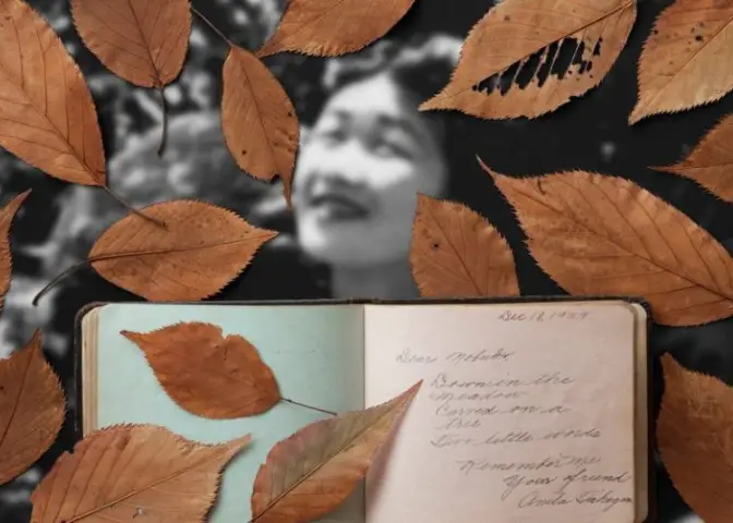 A diary overlays a black and white photo of a young girl; autumn leaves are scattered across both.