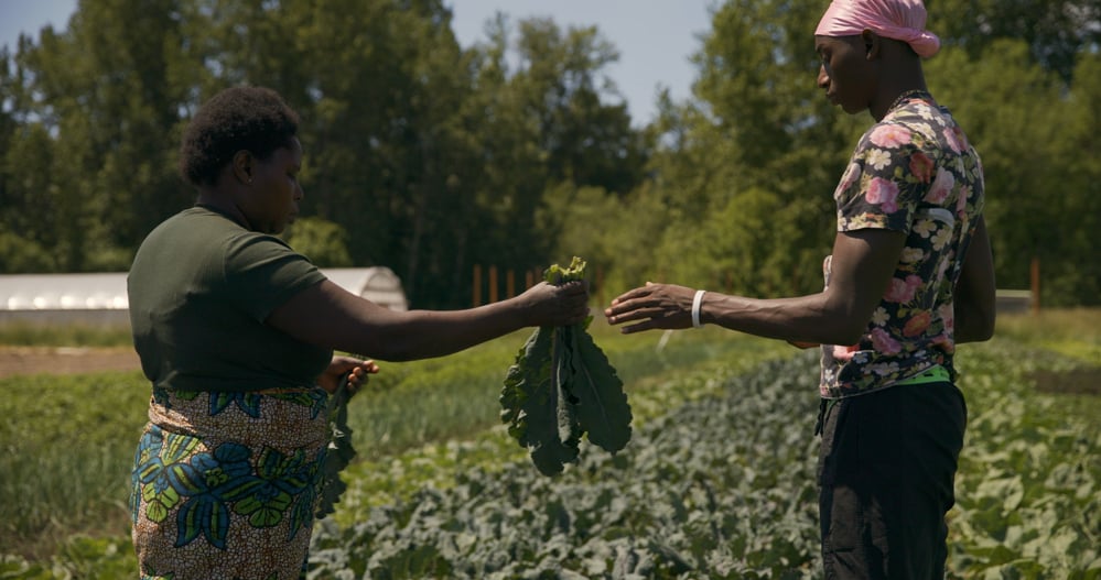 On a farm full of produce, a woman passes a handful of greens to a man.