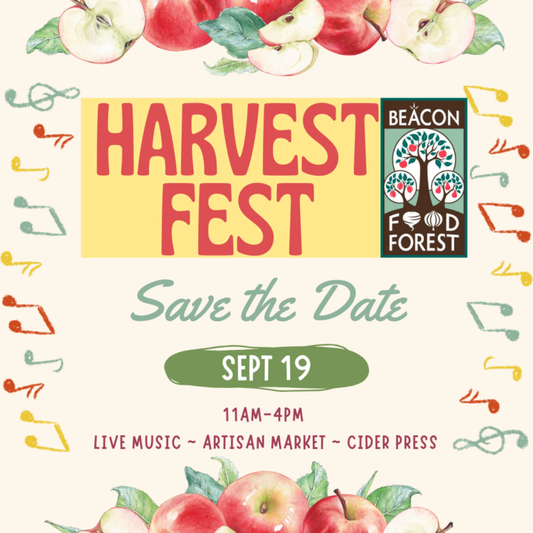 Harvest Fest 768x768