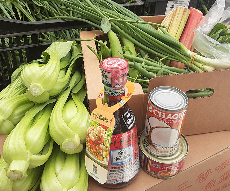 Bok choy, fish sauce, coconut milk, scallions, and other food items laid out on cardboard boxes.