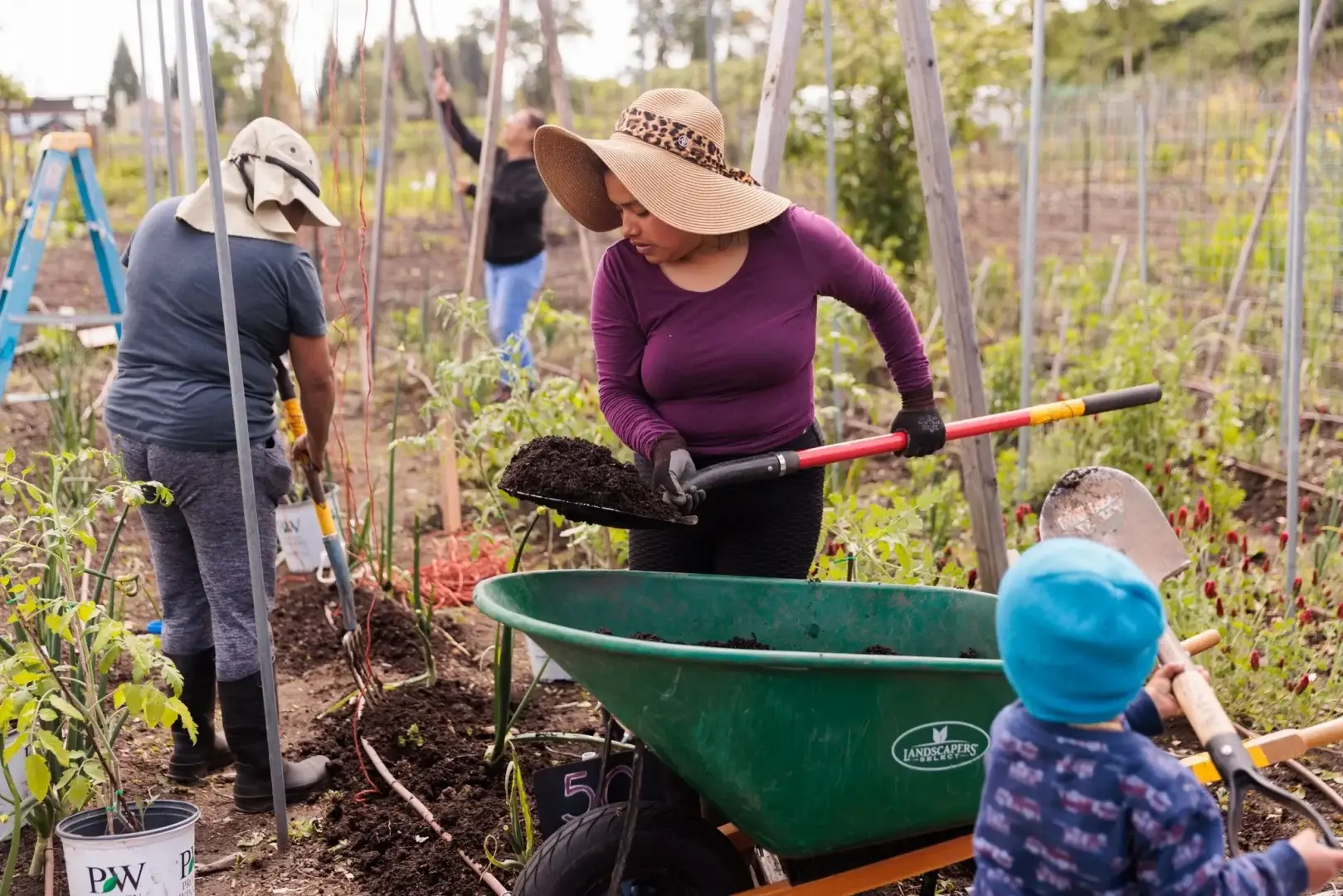 A woman and young child shovel soil into a wheelbarrow in the field of a farm.