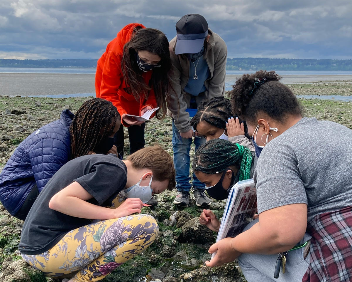 A group of young people on a beach investigating a tide pool.